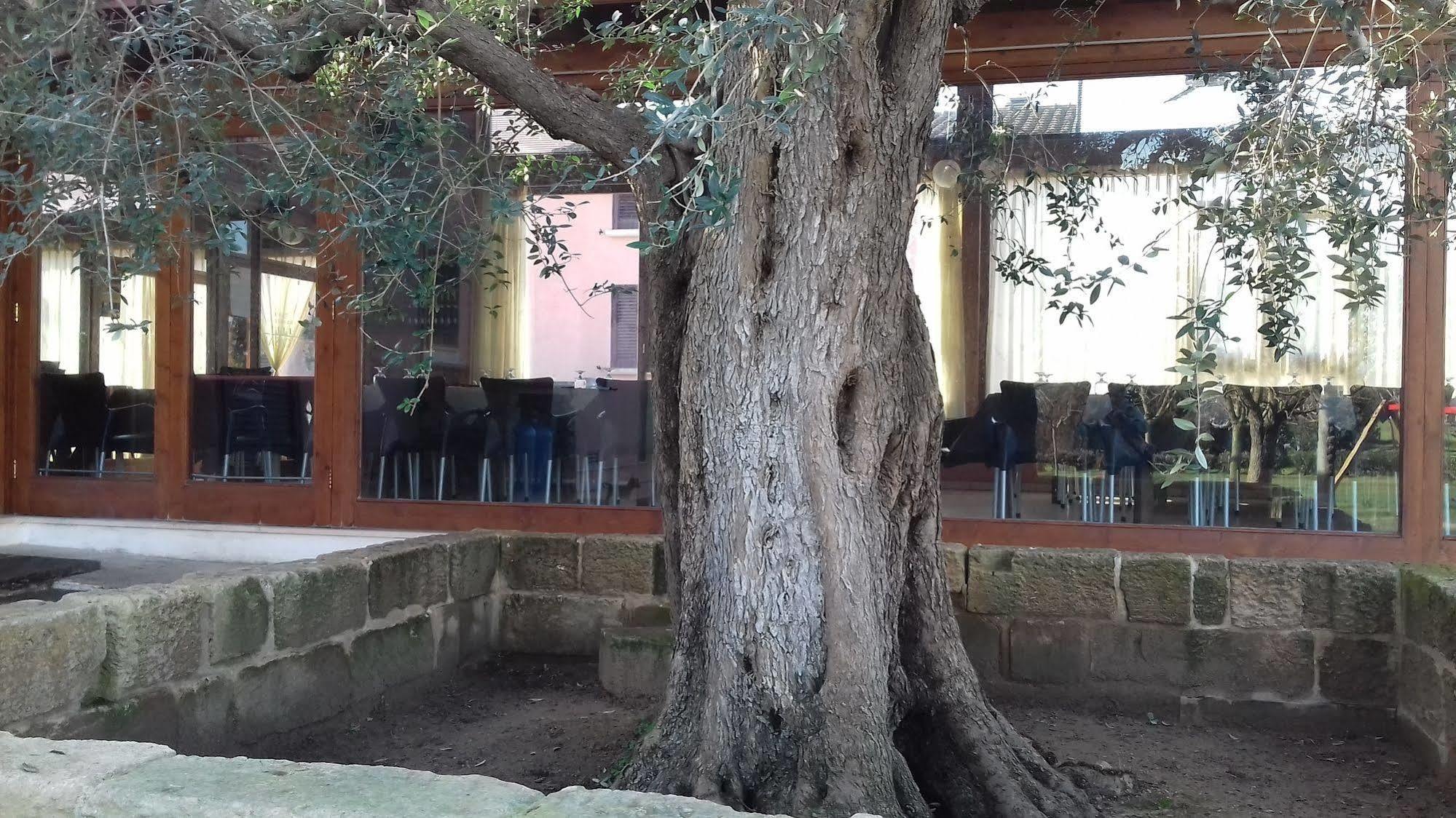B&B Lu Casale San Cesario di Lecce Esterno foto