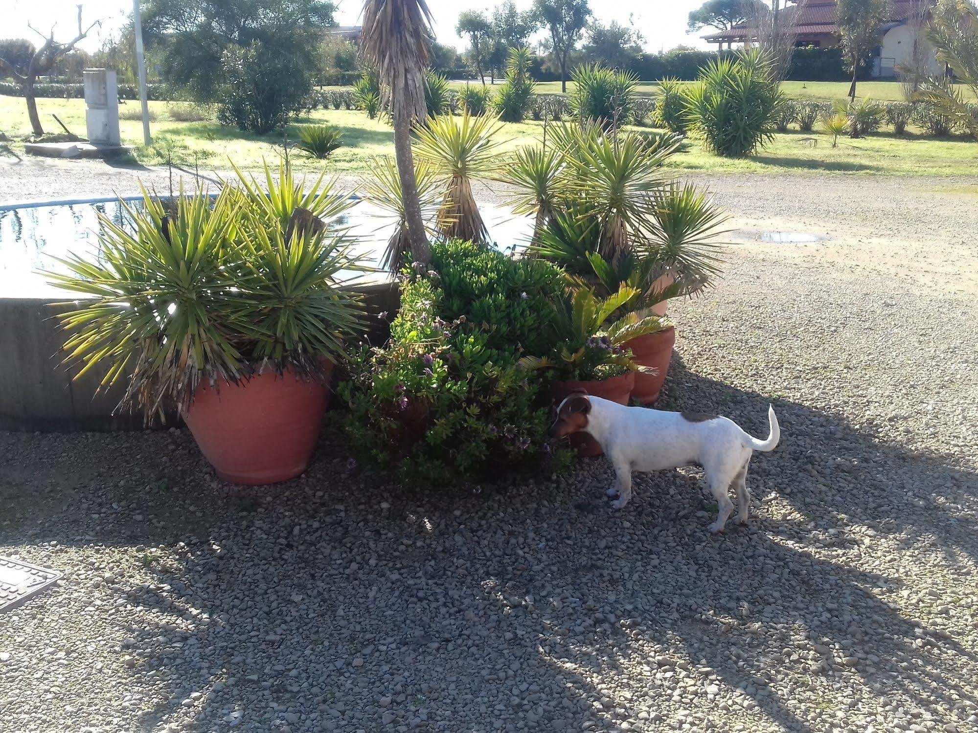 B&B Lu Casale San Cesario di Lecce Esterno foto
